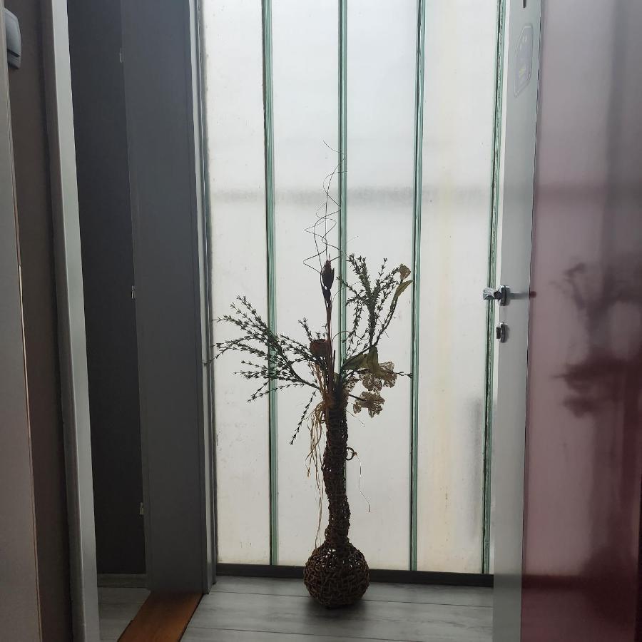 Aparthotel In Club Vrnjačka Banja Exteriér fotografie